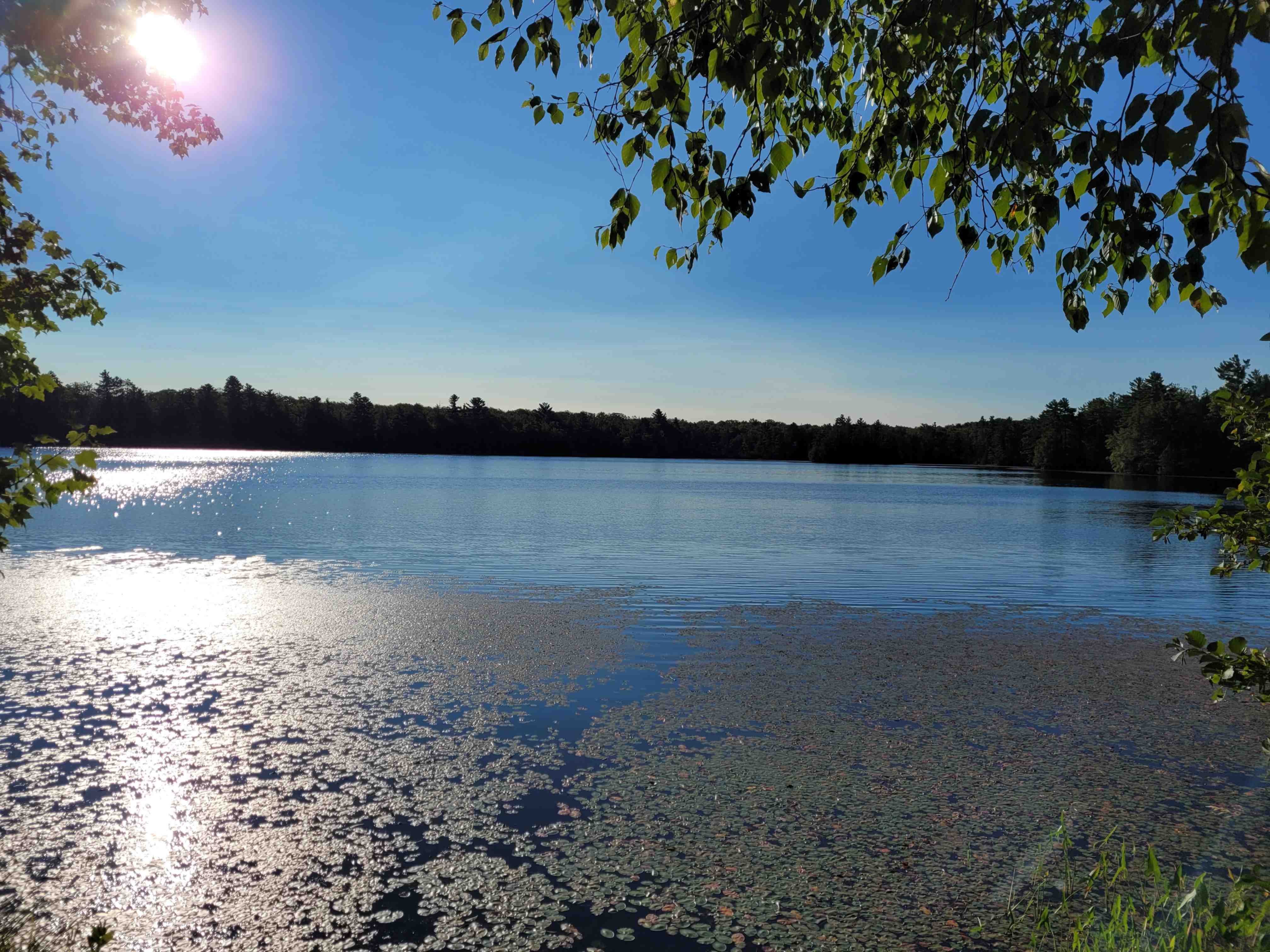 Perch Lake near Drummond