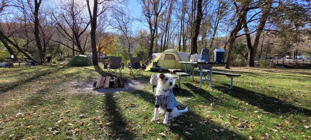 Pulpit Rock Campground