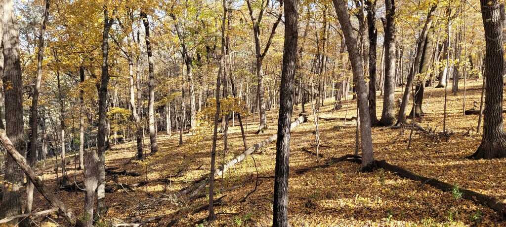 Pulpit Rock Campground