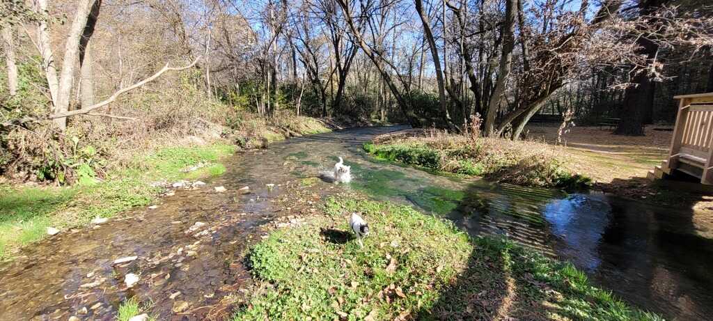 Pulpit Rock Campground